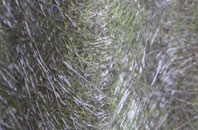 Holewater fibreglass roof work